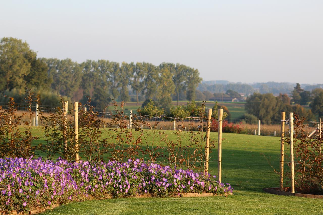Bed and Breakfast Cafcauter Sint-Pieters-Kapelle  Zewnętrze zdjęcie